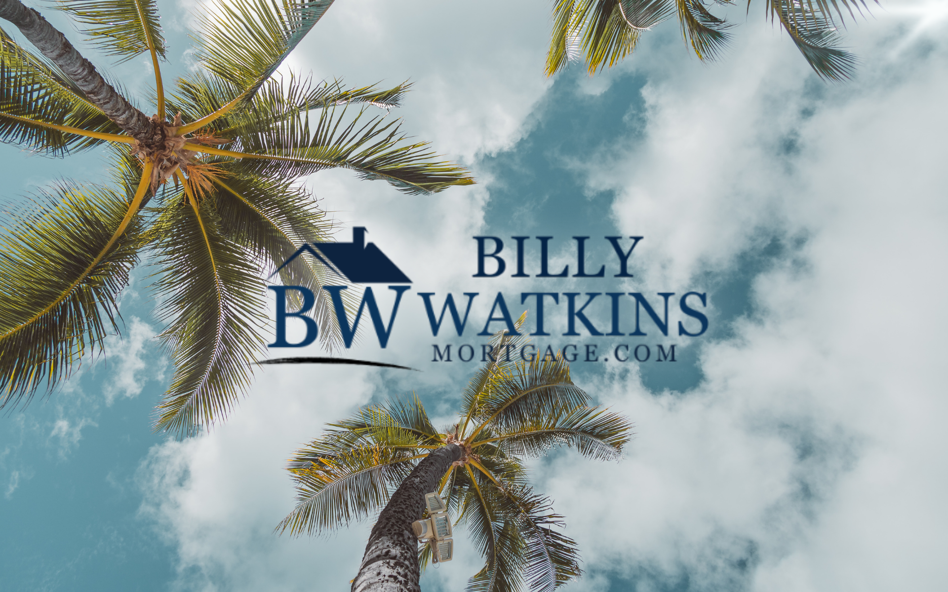 Palm trees against a blue sky